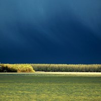 Sava and the Danube river Confluence, Vlada Marinković
