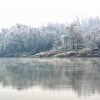 Savska magla, Nenad Krbavac
