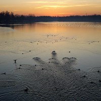 Svitanje na Jarunu, Zvonimir Veber
