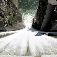 Into the Deep